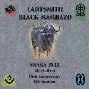 Ladysmith Black Mambazo - This Little Light of Mine (Bonus Track)